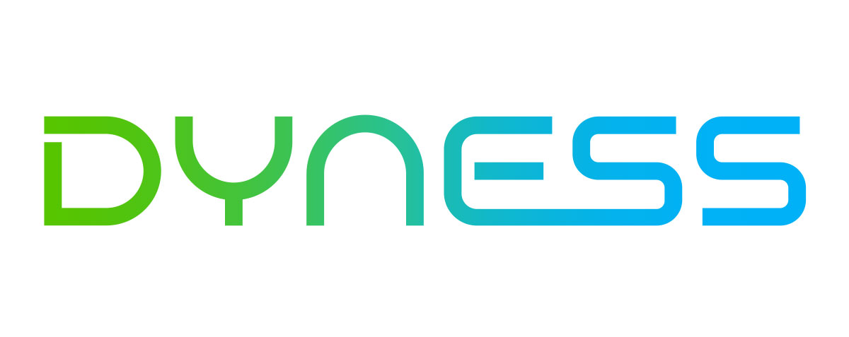 Dyness for solar energy solutions in Pakistan